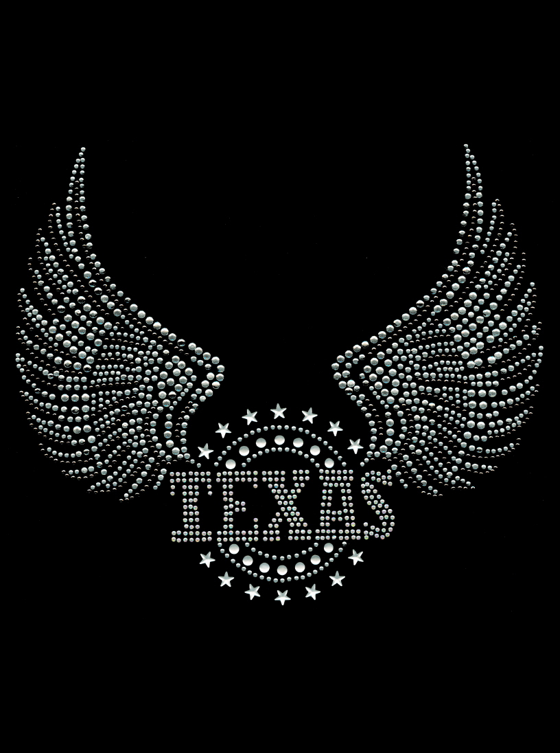 Texas Wings Transfer Patch